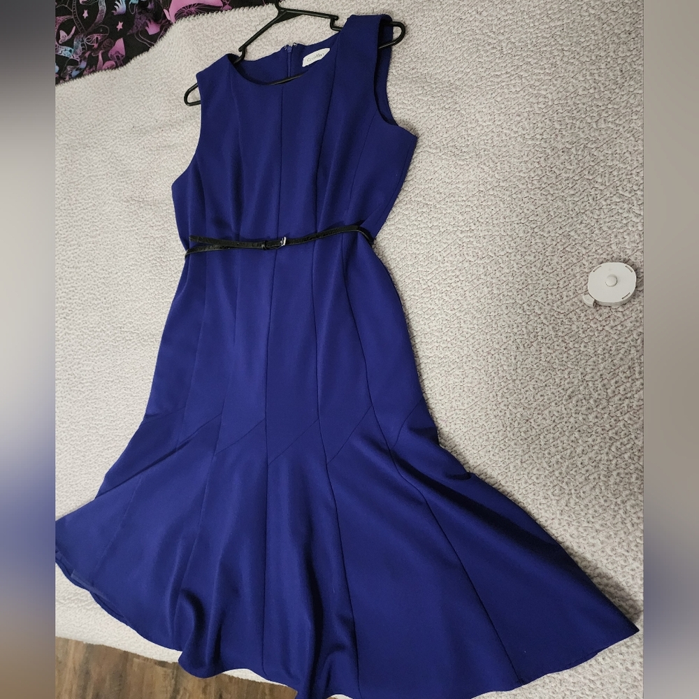 Calvin Klein Beautiful Blue Belted Sleeveless Pleated Dress - Picture 6 of 16